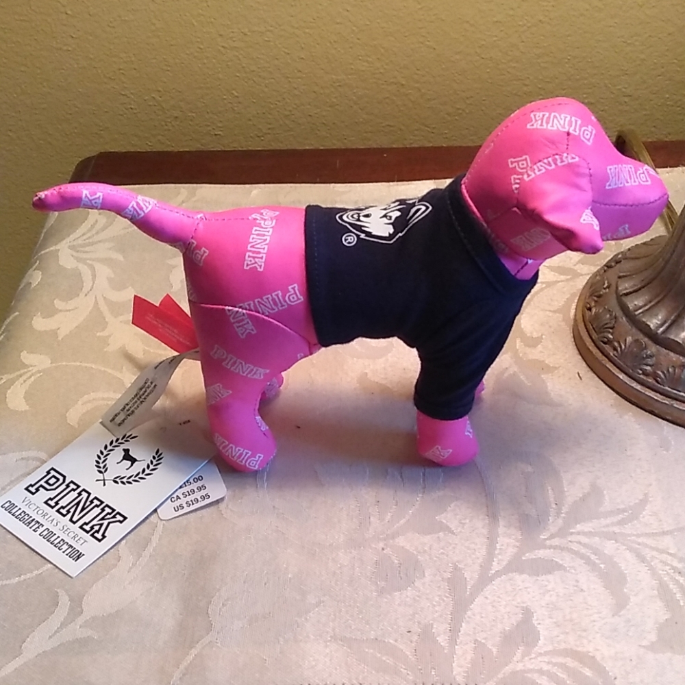 VS Pink UConn rare htf collegiate collectable pup NWT